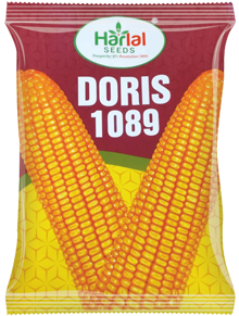 maize